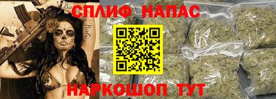 гашик Малоярославец