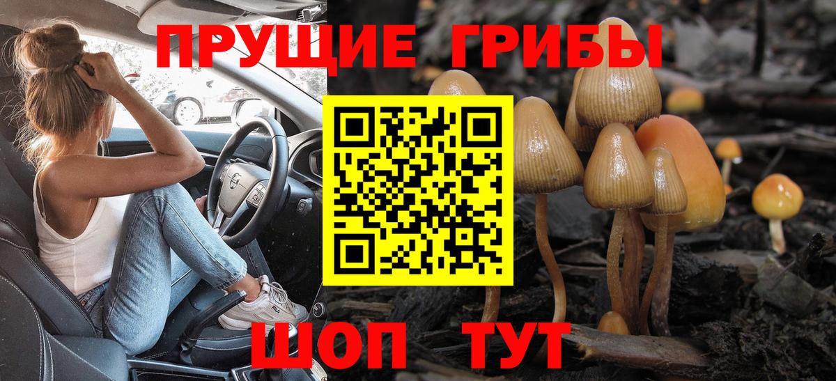 Галлюциногенные грибы мухоморы Десногорск